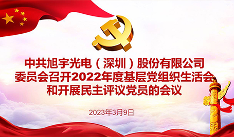 大阳城集团娱乐网站召开2022年度党支部组织生活会和民主评议会